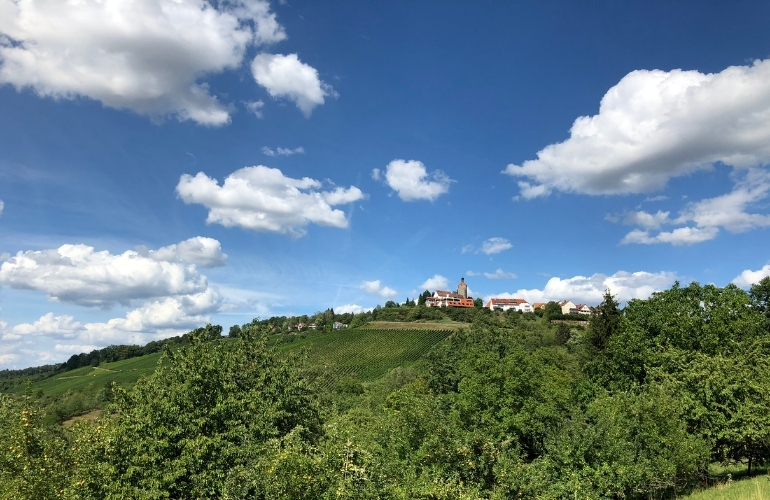 Schwäbisches Kulturgut Maultasche
