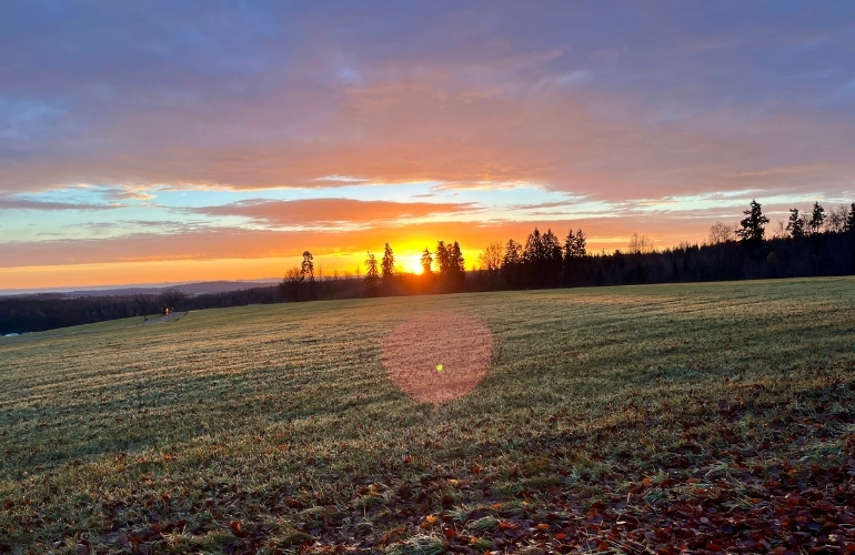 Maultaschenblitz aus dem Schwarzwald